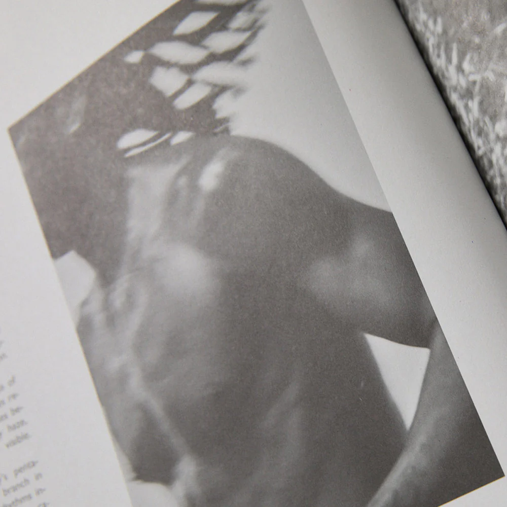 Amateurs Issue 2 - Image 7