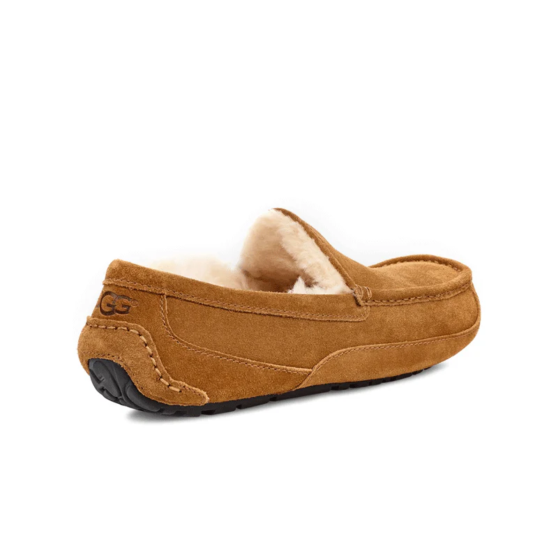 UGG | Men's Ascot Slipper 'Chestnut' - Image 4