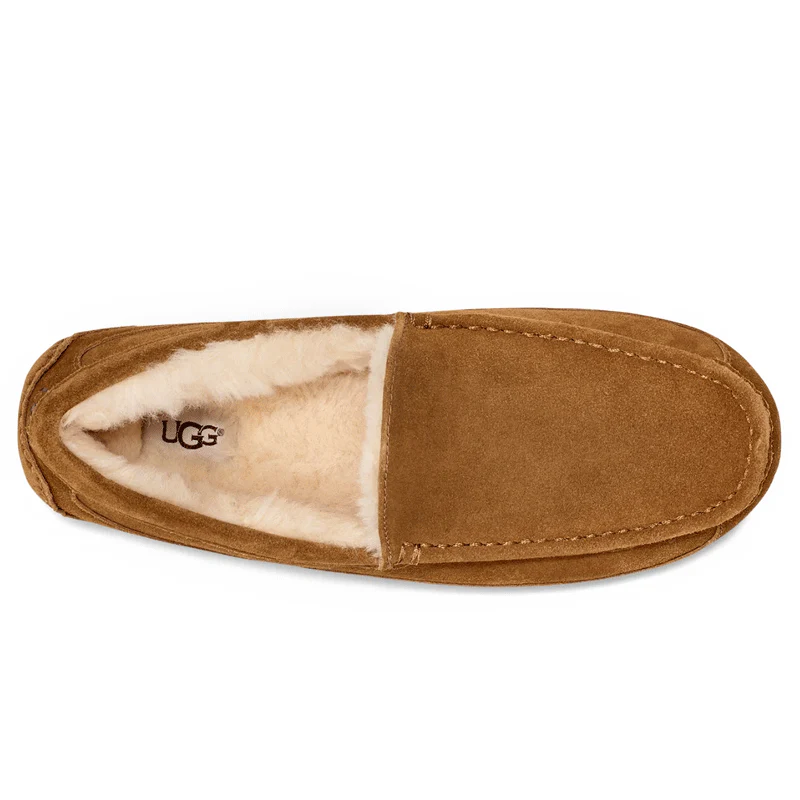 UGG | Men's Ascot Slipper 'Chestnut' - Image 5