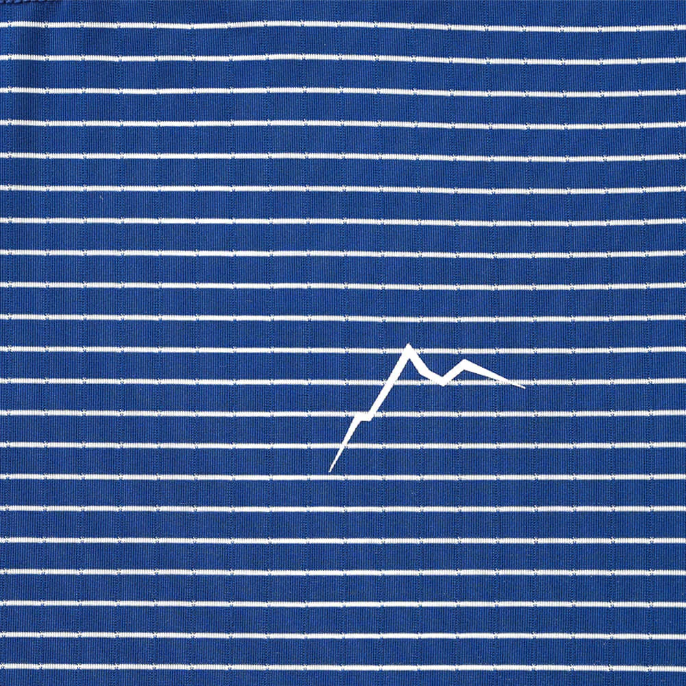 CayL | Stripe Logo Long Sleeve 'Blue' - Image 3