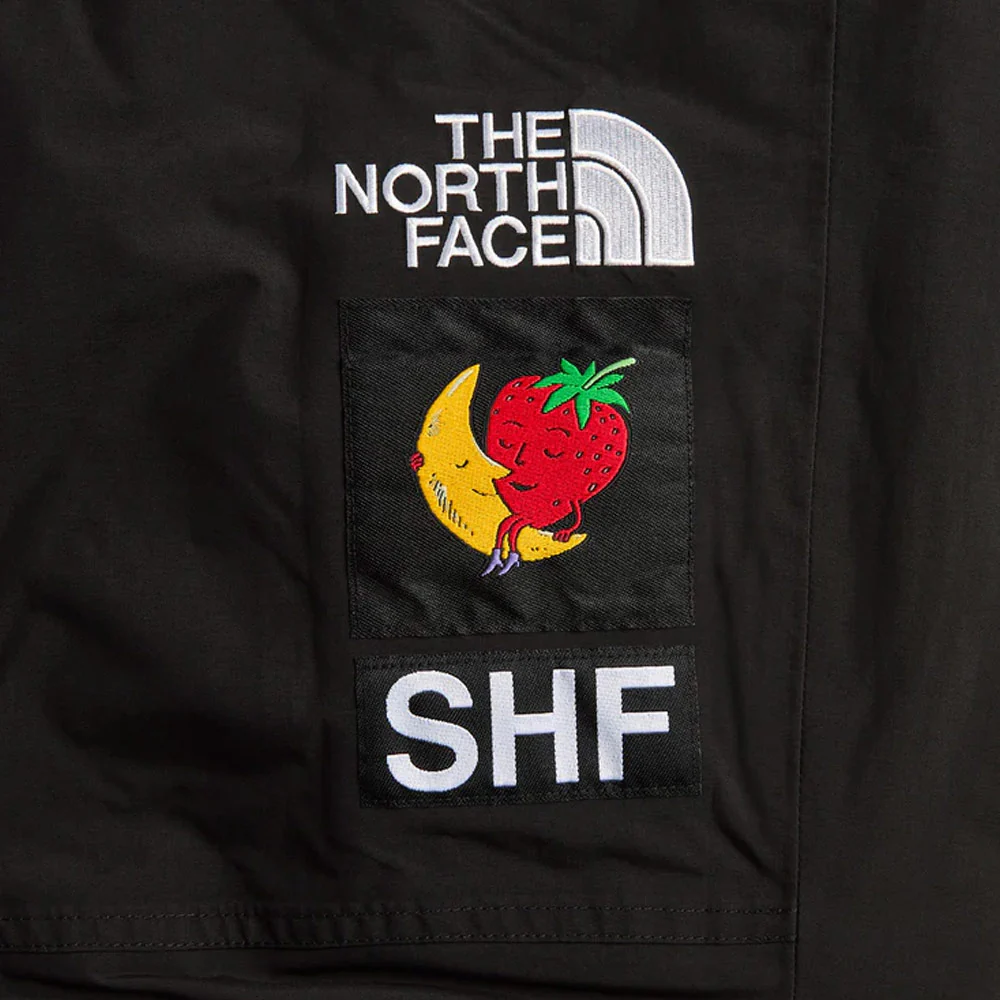 x TNF MTN Pant 'TNF Black' - Image 3